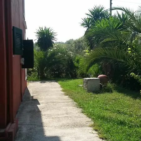 Sunny Dreams *