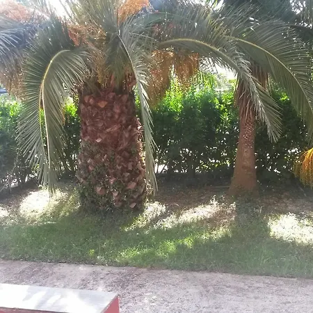 דירה Sunny Dreams *